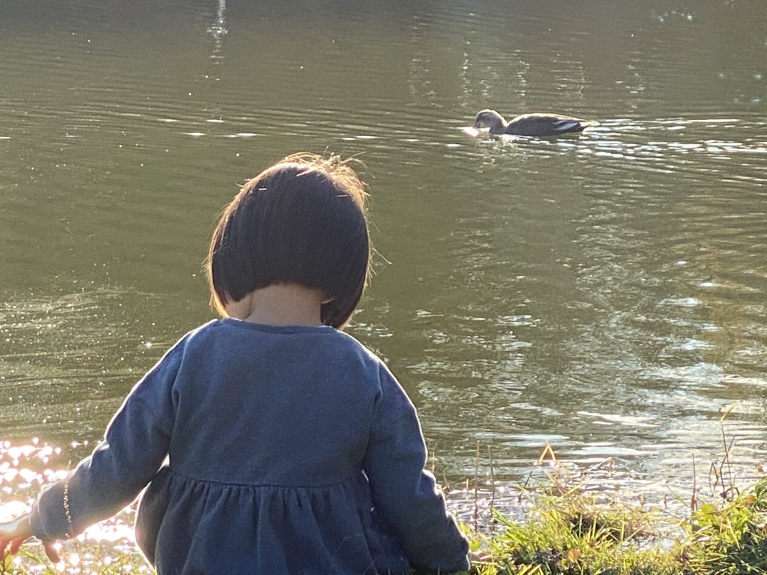 緑ヶ丘公園にて
