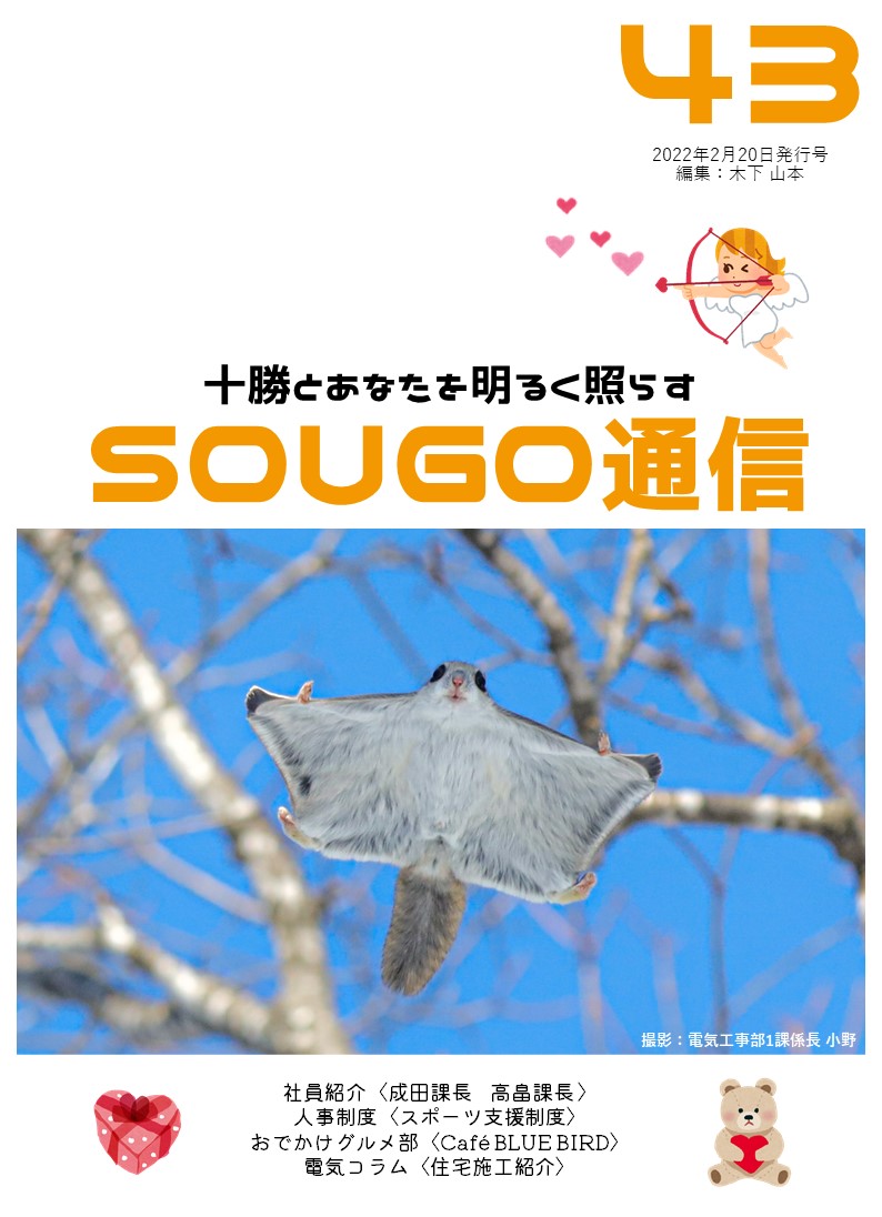 SOUGO通信第43号　発行しました！