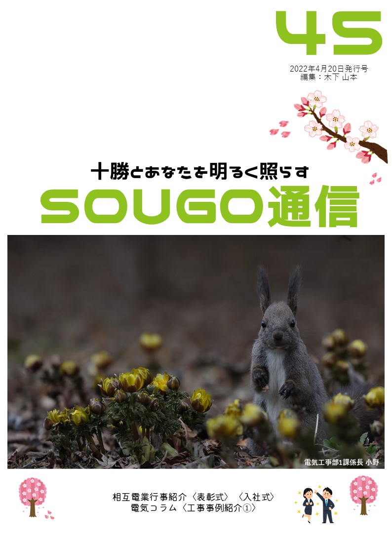 SOUGO通信第45号　発行しました！