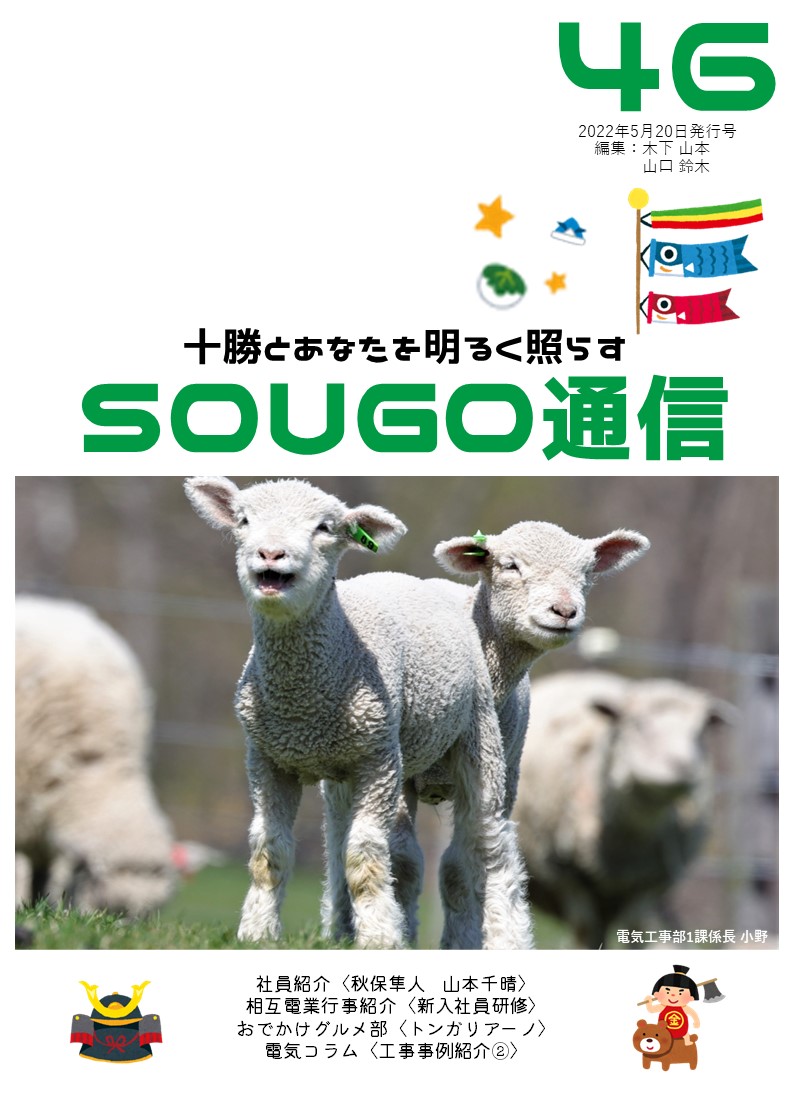 SOUGO通信第46号　発行しました！