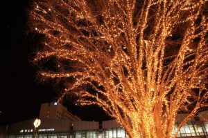 帯広駅前にイルミネーションが点灯されました！