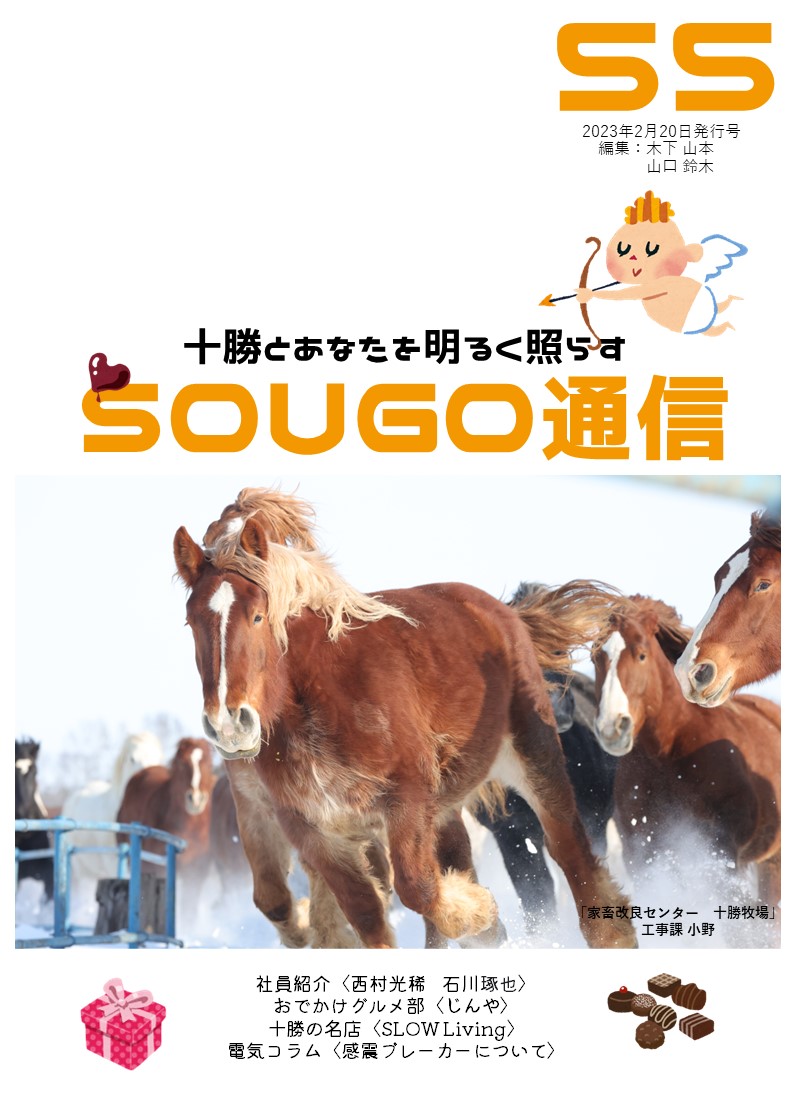 SOUGO通信第55号発行しました☆