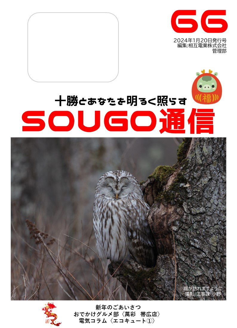 SOUGO通信第６６号発行しました☆